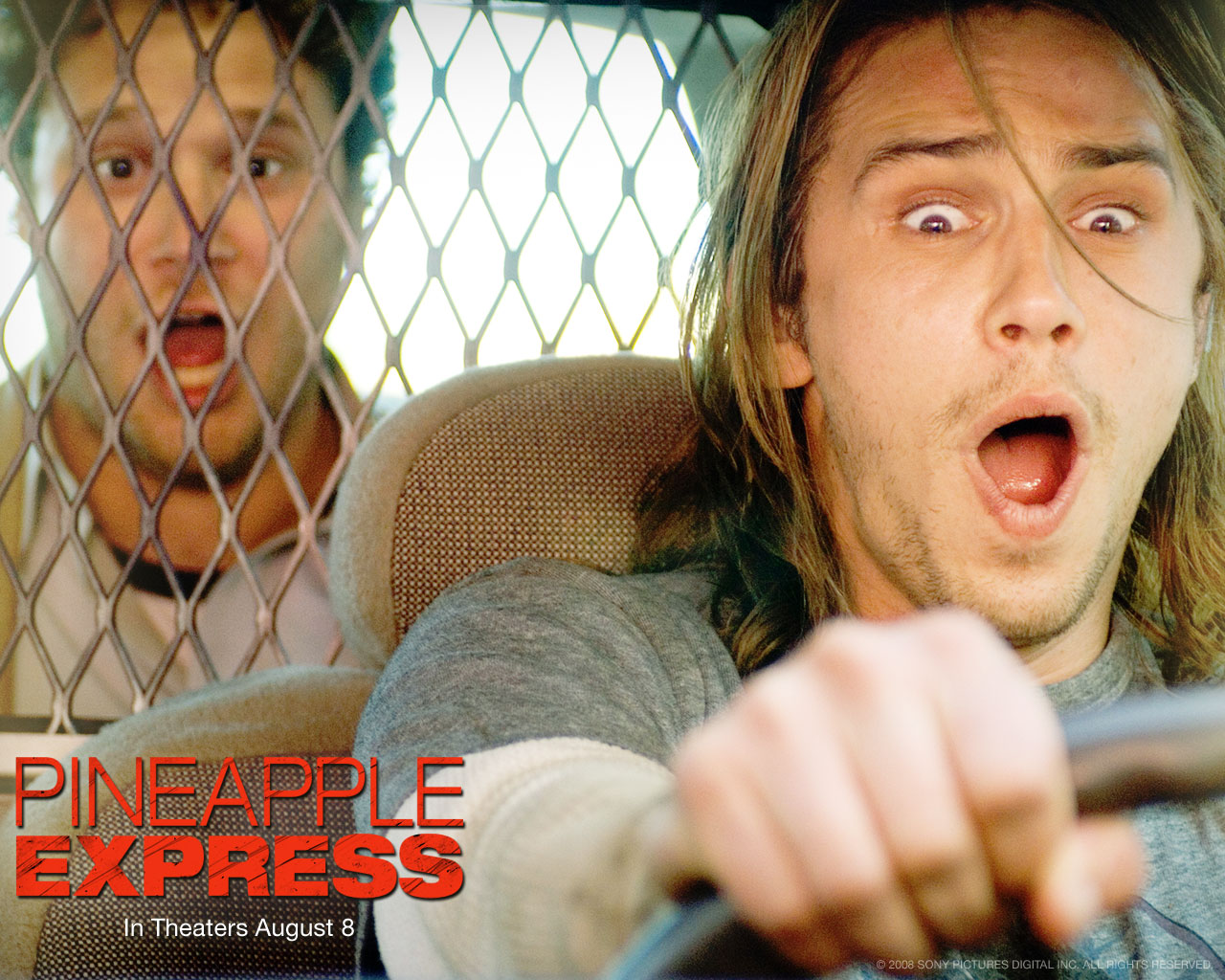 Wallpapers Movies Pineapple Express 