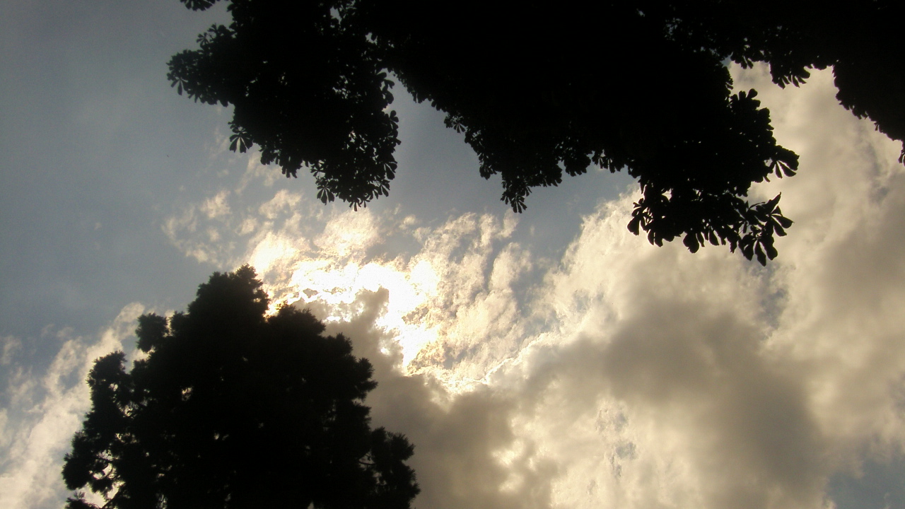 Fonds d'cran Nature Ciel - Nuages des branches se rapprochent