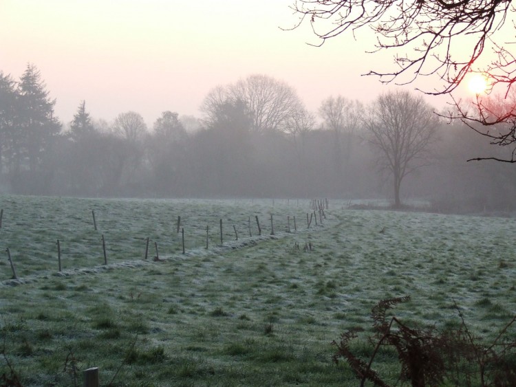 Fonds d'cran Nature Campagne lever de soleil en hiver