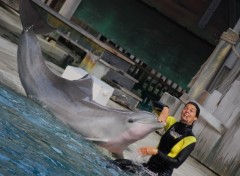 Wallpapers Trips : Europ dolphinarium