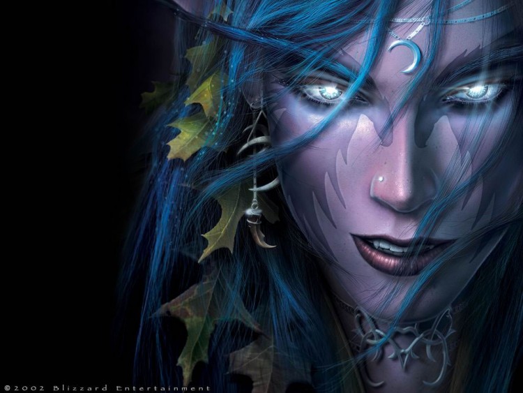 Fonds d'cran Jeux Vido World of Warcraft Wallpaper N208728