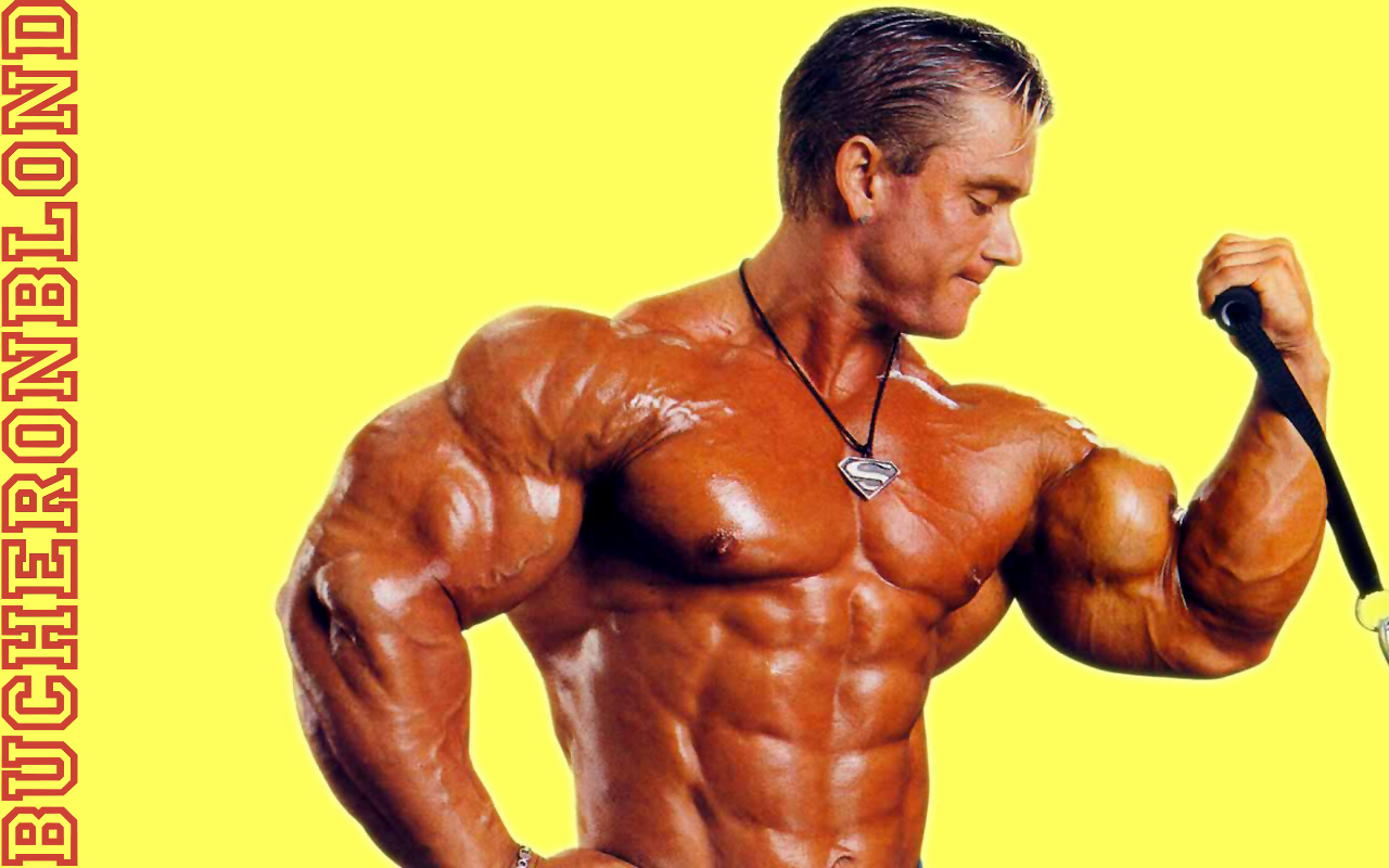 Fonds d'cran Sports - Loisirs Body Building SUPER LEE PRIEST