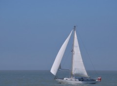 Fonds d'cran Bateaux Voilier