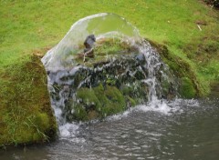 Fonds d'cran Constructions et architecture Fontaine dans le jardin d'Annevoie