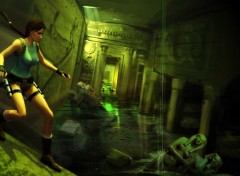 Wallpapers Video Games Tomb Raider Anniversary