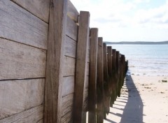 Wallpapers Nature Perspective  la plage...