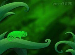 Fonds d'cran Informatique openSUSE