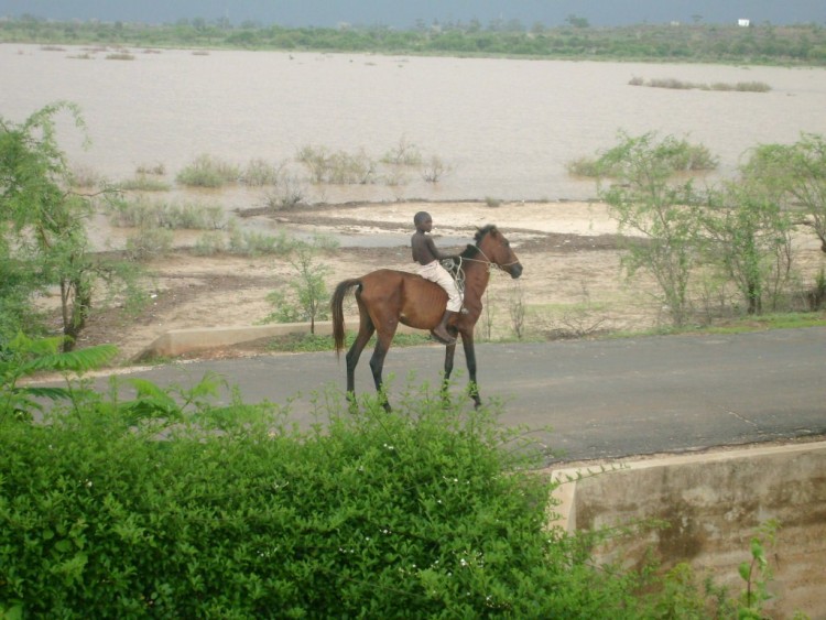 Fonds d'cran Voyages : Afrique Sngal Jeune garon  cheval, Yene, Sngal