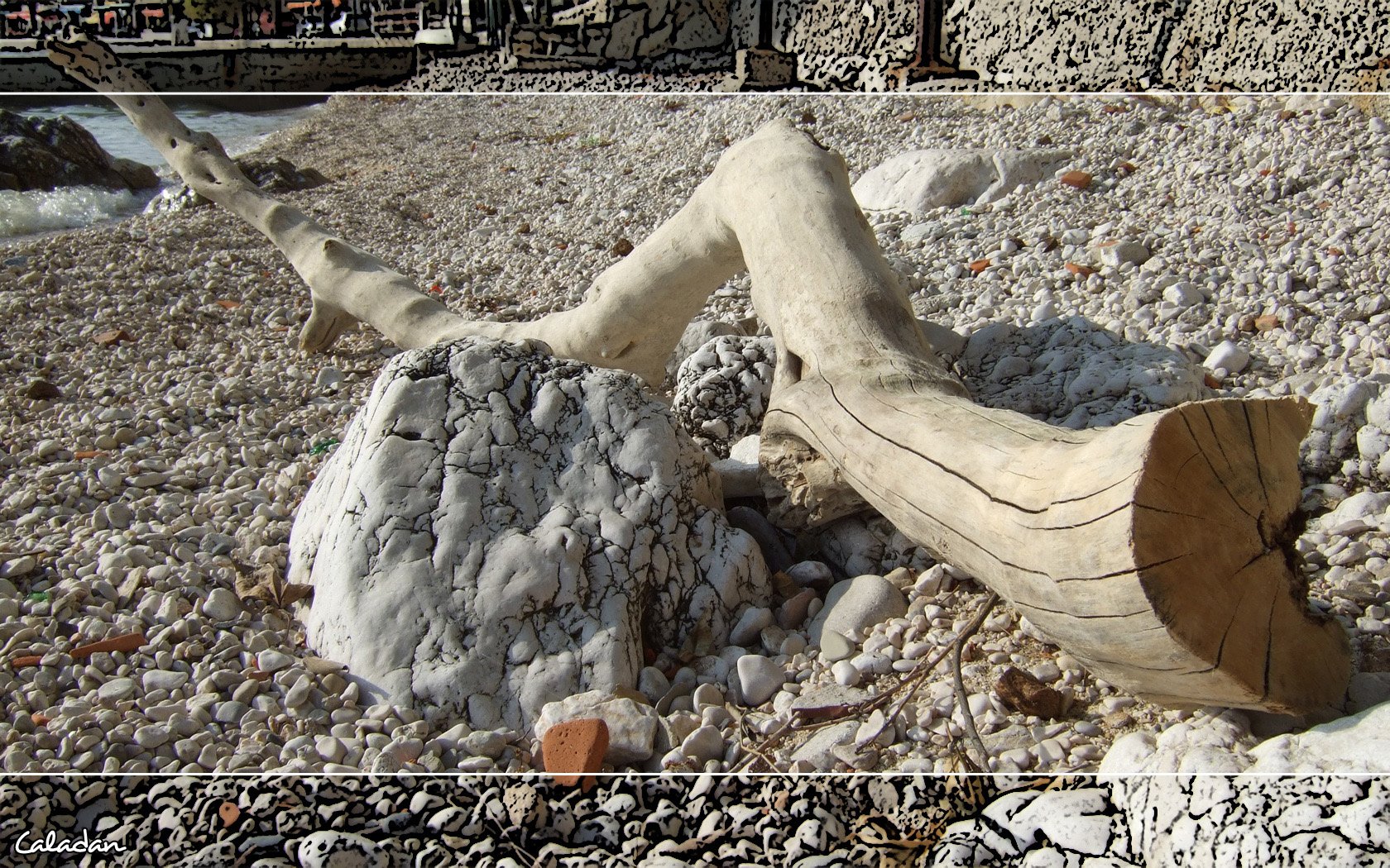 Fonds d'cran Nature Mers - Ocans - Plages Branche sur une plage