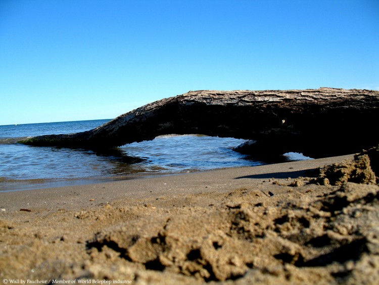 Fonds d'cran Nature Mers - Ocans - Plages Mer Mditranne la plage