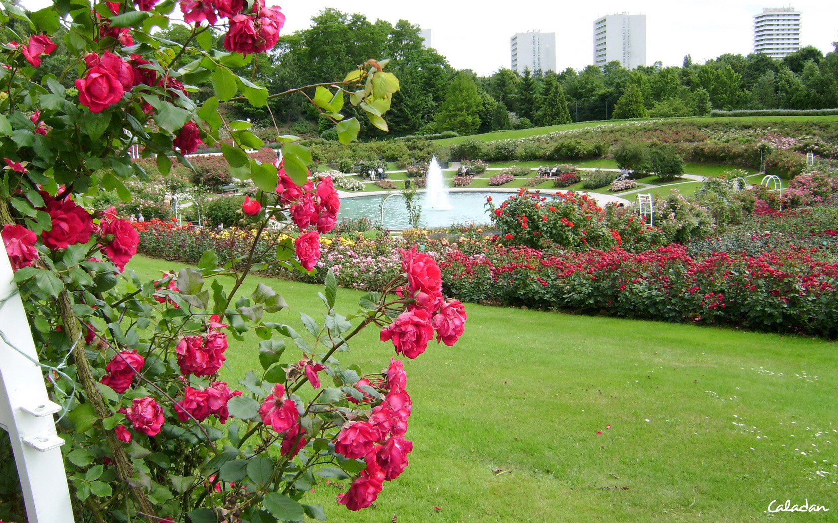 Fonds d'cran Nature Parcs - Jardins Parc fleuri