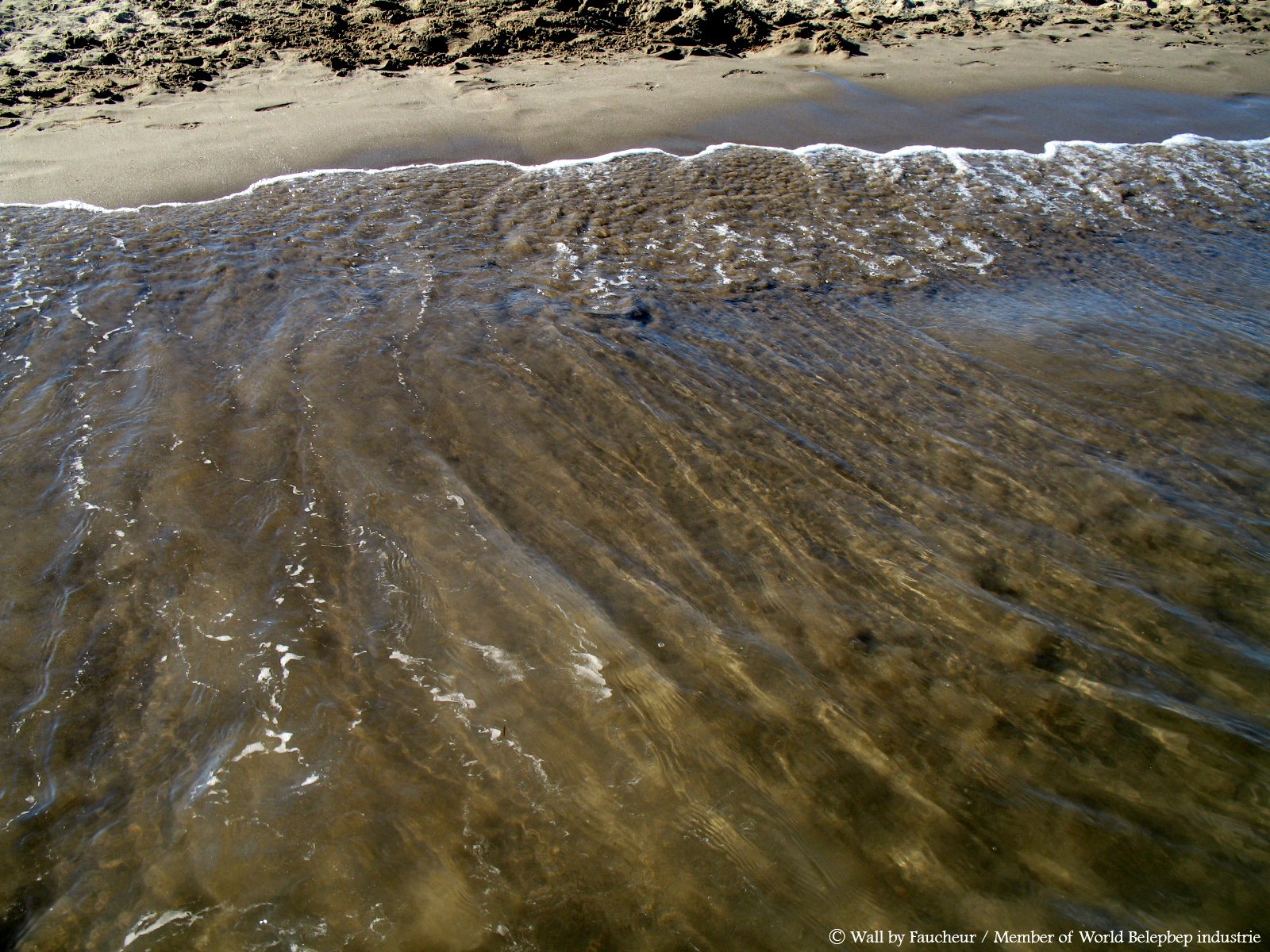 Fonds d'cran Nature Mers - Ocans - Plages Mer Mditranne la plage