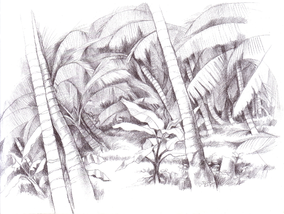 Wallpapers Art - Pencil Landscapes jungle