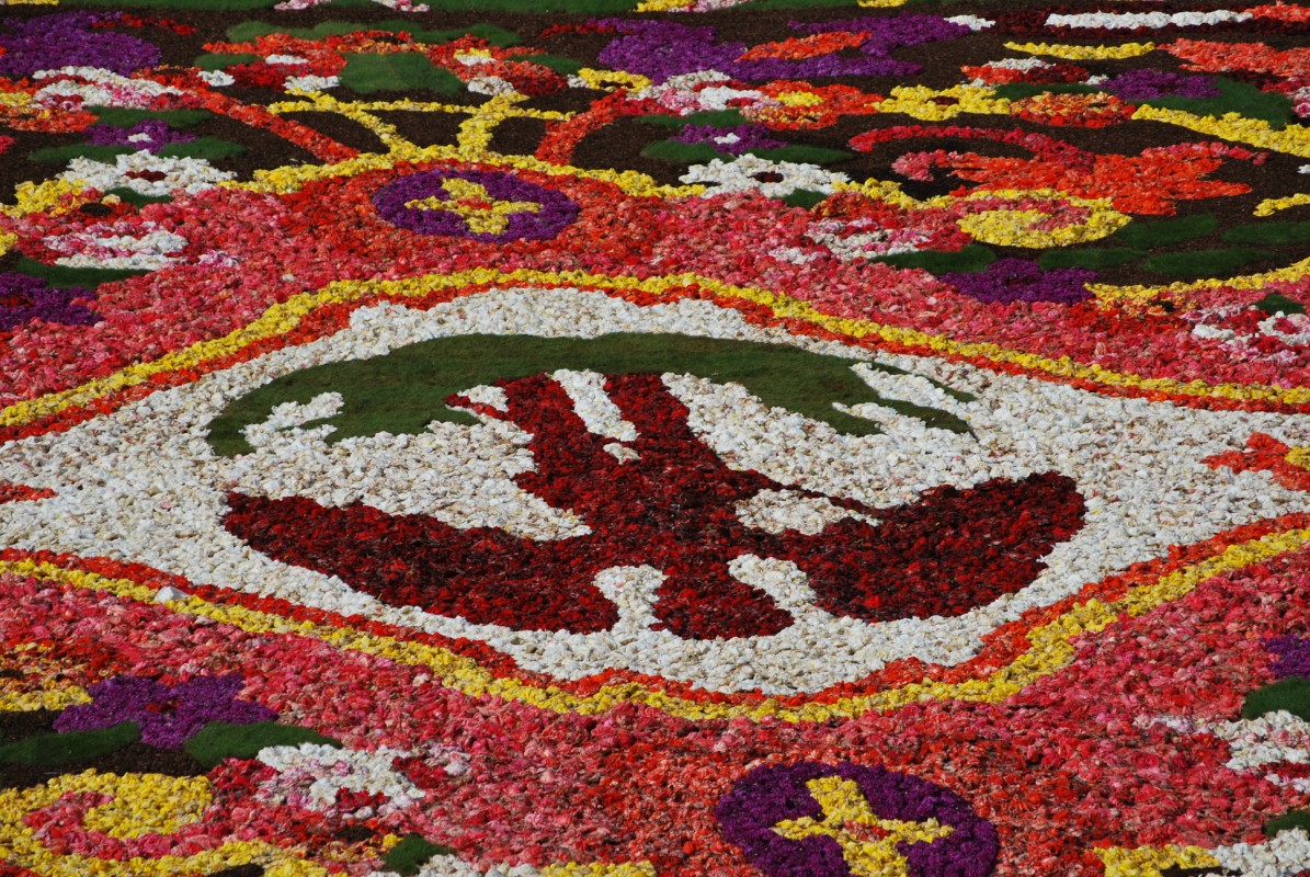 Fonds d'cran Voyages : Europe Belgique un motif du tapis de fleurs  Bruxelles