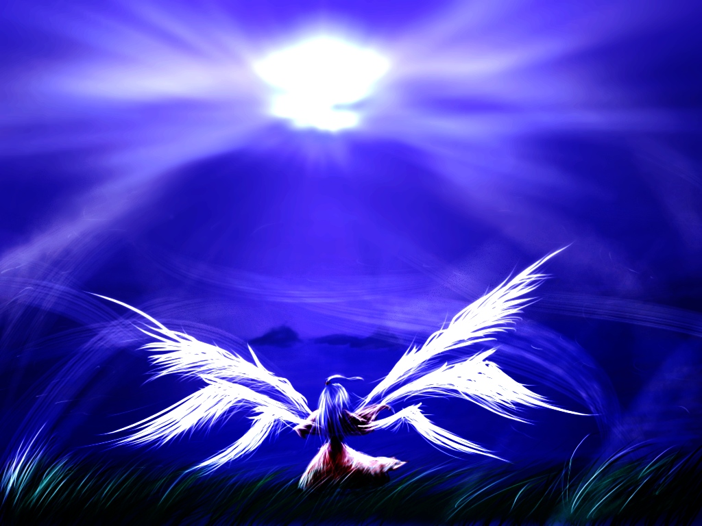 Wallpapers Manga Miscellaneous - Angels ange zen