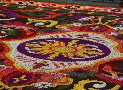 Fonds d'cran Voyages : Europe Tapis de fleurs  Bruxelles