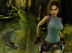 Fonds d'cran Jeux Vido Tomb Raider Anniversary