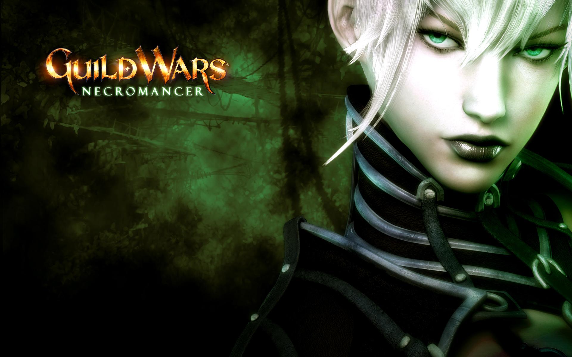 Fonds d'cran Jeux Vido Guild Wars 