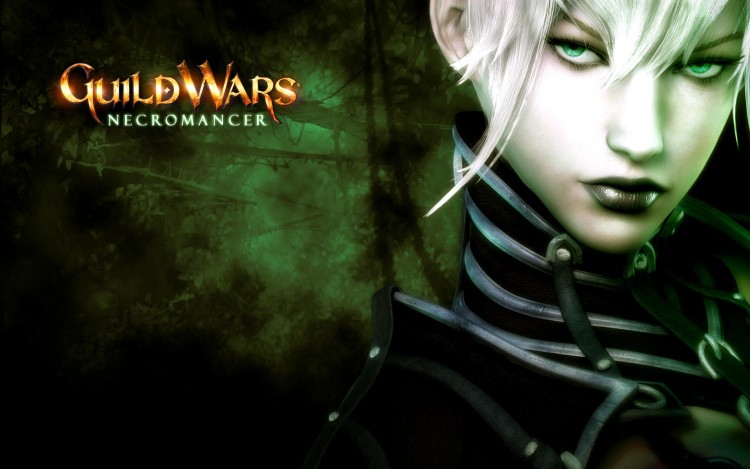 Fonds d'cran Jeux Vido Guild Wars Wallpaper N210286