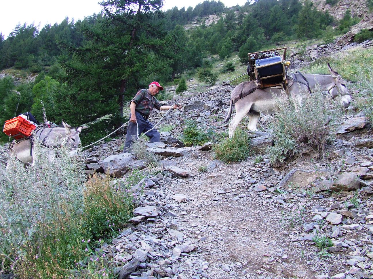 Fonds d'cran Transports divers Divers Valle de FREISSINIERES