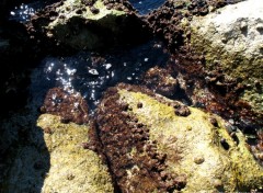 Fonds d'cran Nature Mer Mditranne la plage