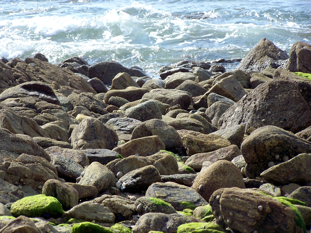 Fonds d'cran Nature Mers - Ocans - Plages 