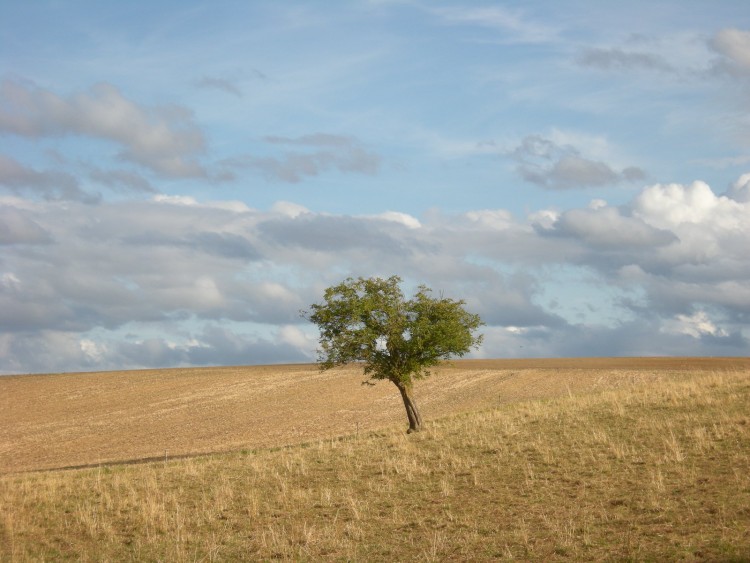 Wallpapers Nature Landscapes Campagne du Berry