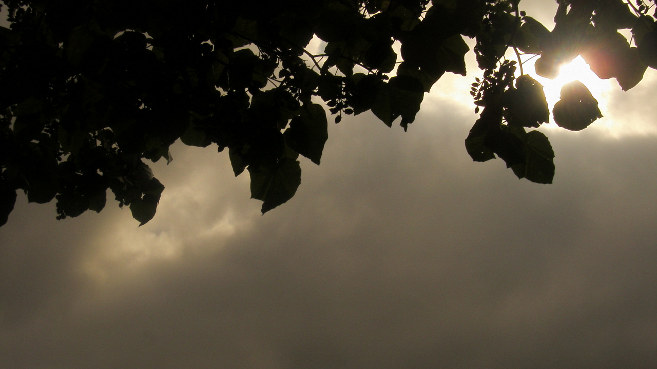 Fonds d'cran Nature Ciel - Nuages une lumire dans la pnombre