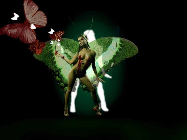 Wallpapers Fantasy and Science Fiction Fairies Nymphe aux papillons