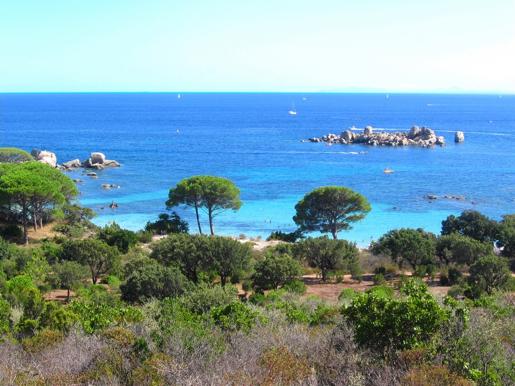 Wallpapers Trips : Europ France > Corsica Palombaggia