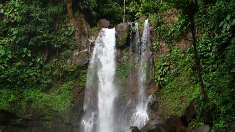 Fonds d'cran Nature Cascades - Chutes La Troisime Chute du Carbets Gwada