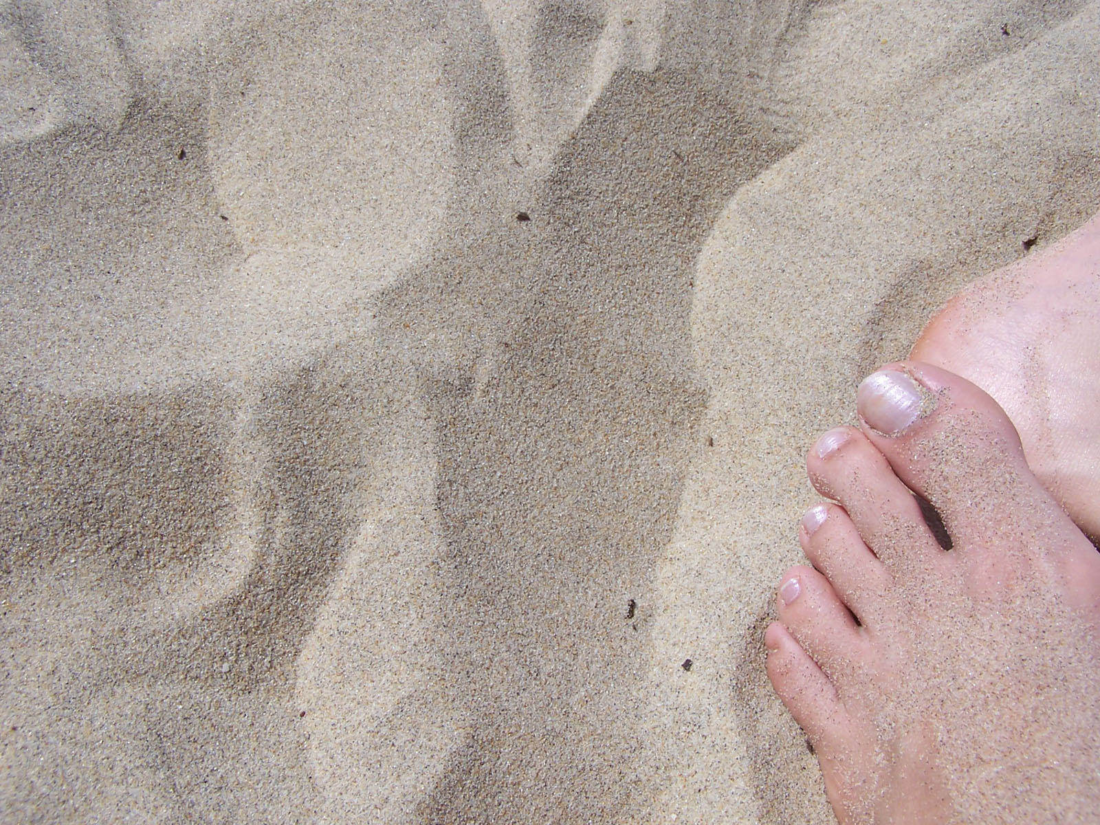 Fonds d'cran Nature Divers - Compositions Pied et sable fin