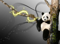 Fonds d'cran Art - Crayon panda