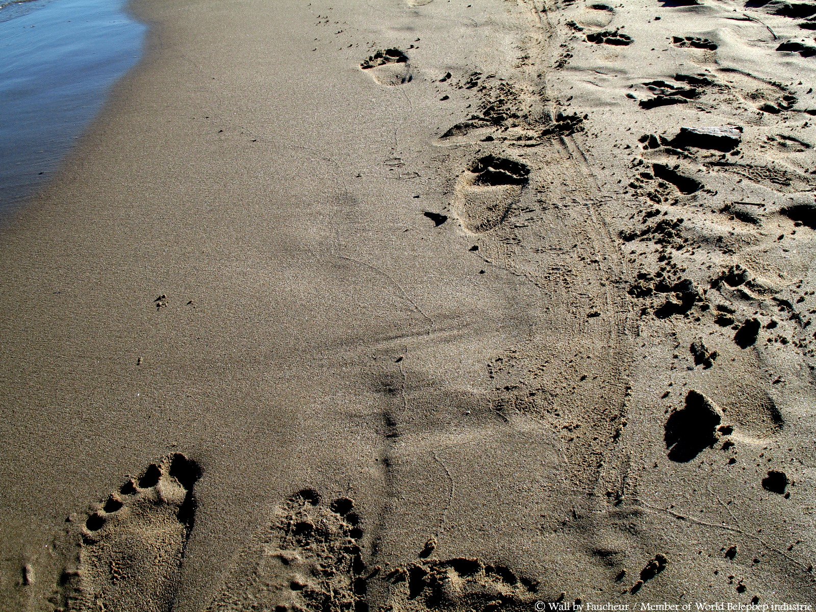 Wallpapers Nature Seas - Oceans - Beaches Mer Mditranne la plage