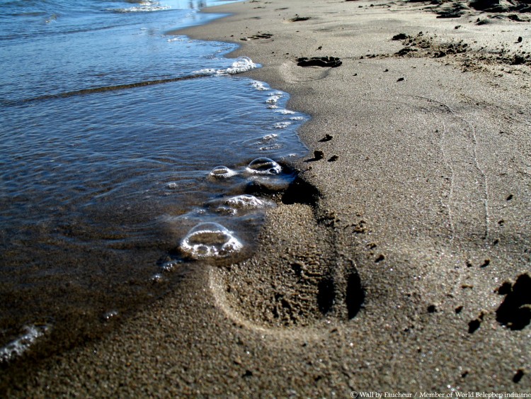 Fonds d'cran Nature Mers - Ocans - Plages Mer Mditranne la plage