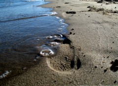 Fonds d'cran Nature Mer Mditranne la plage