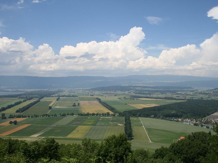 Fonds d'cran Nature Champs - Prairies Vue depuis le Vully