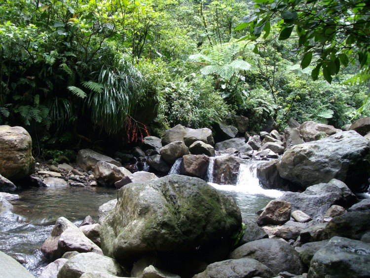 Fonds d'cran Voyages : Amrique du nord La Guadeloupe Fort Tropicale Guadeloupenne