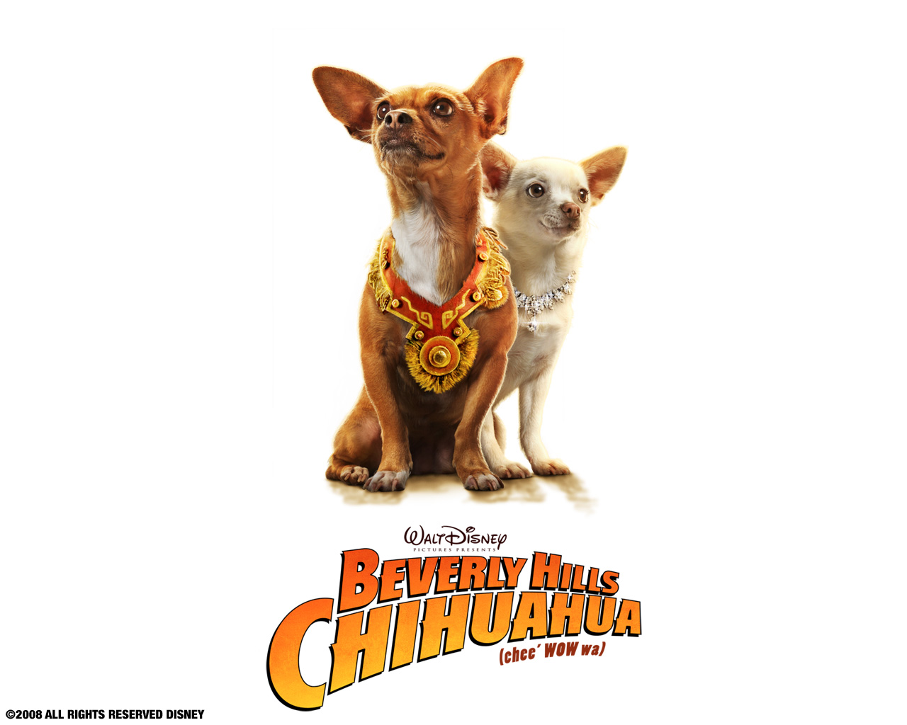 Fonds d'cran Cinma Le Chihuahua de Beverly Hills 