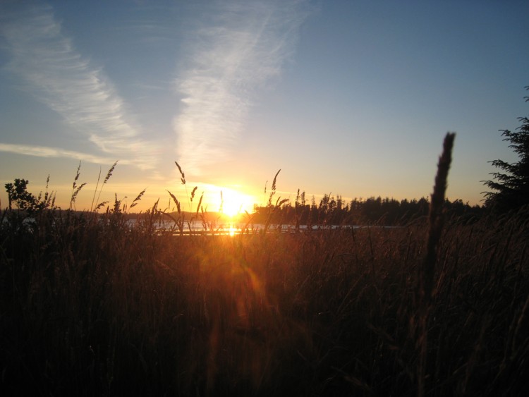 Wallpapers Trips : North America Canada Tofino