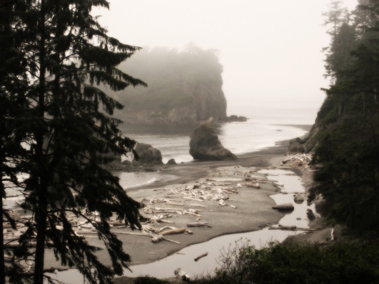 Wallpapers Trips : North America United-States > Washington Olympic National Park beach