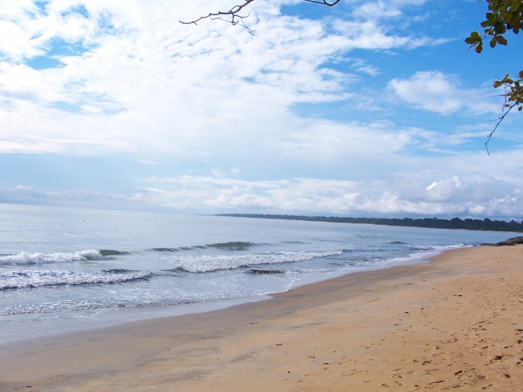 Fonds d'cran Voyages : Afrique Cameroun Plage de Kribi