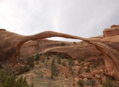 Fonds d'cran Nature delicat arch