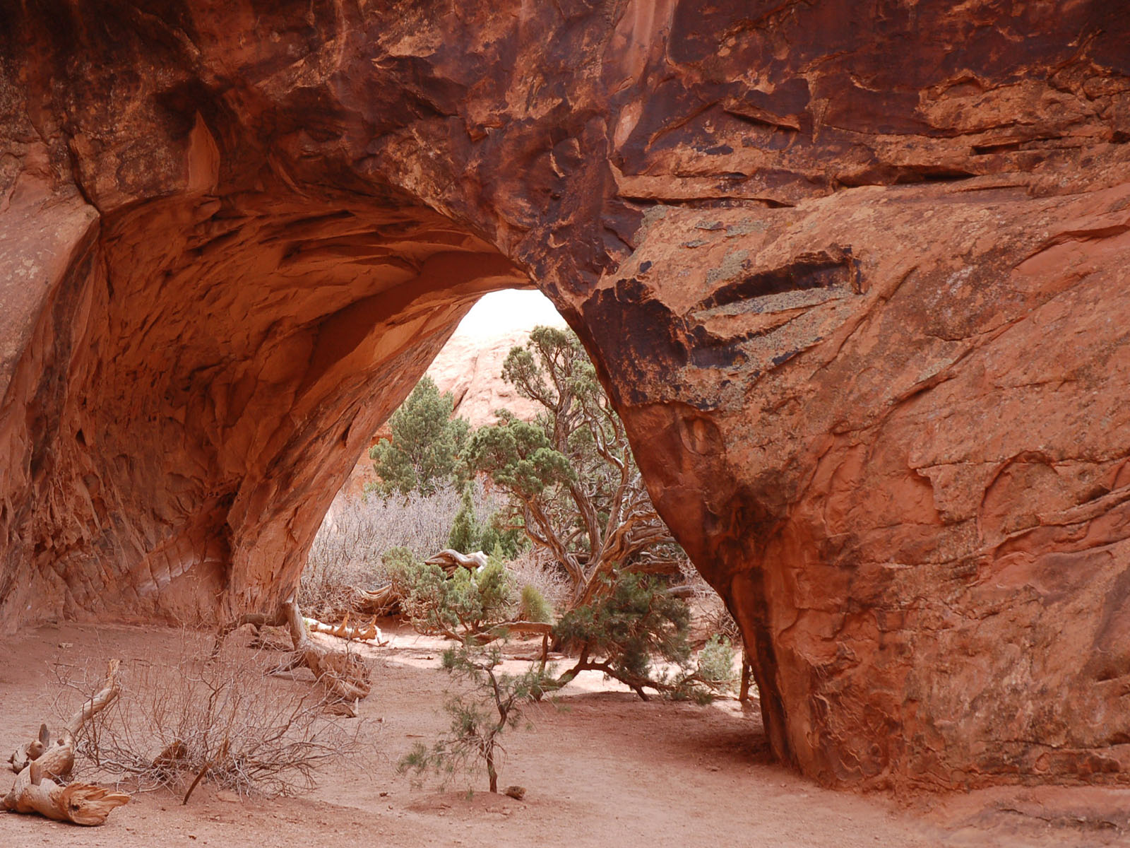 Wallpapers Nature Canyons navajo arch