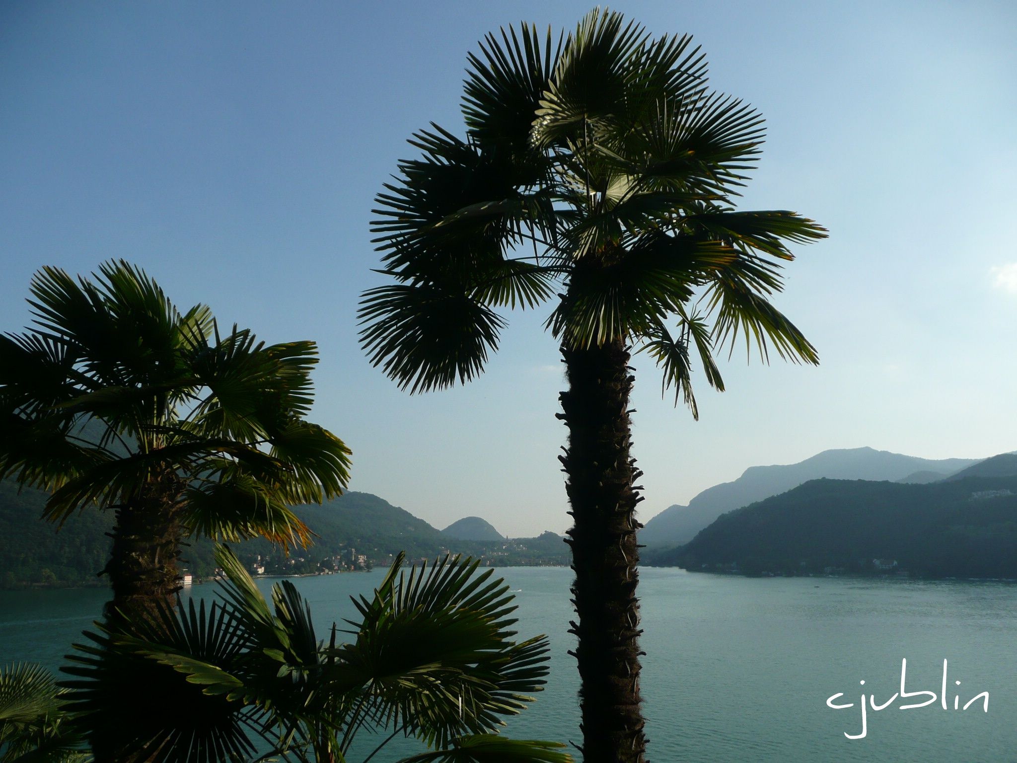 Fonds d'cran Nature Lacs - Etangs ces palmiers contemplent ce magnifique panorama