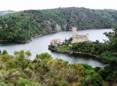 Fonds d'cran Constructions et architecture chteau de l'ile de Grangent