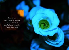 Wallpapers Digital Art Poeme