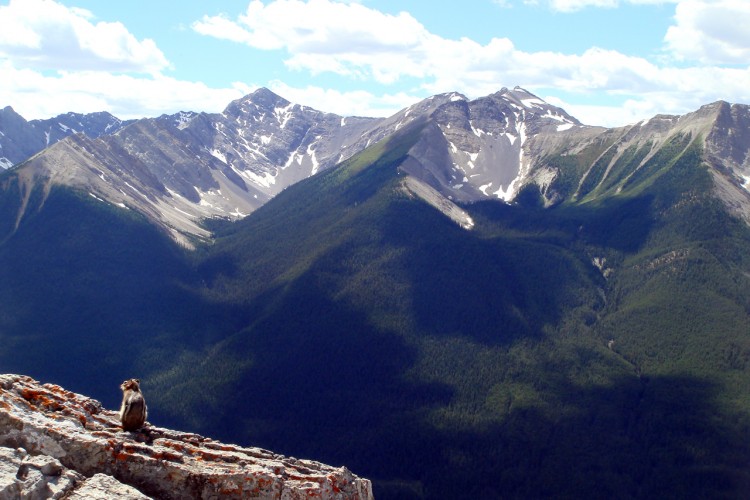 Fonds d'cran Voyages : Amrique du nord Canada Banff National Park