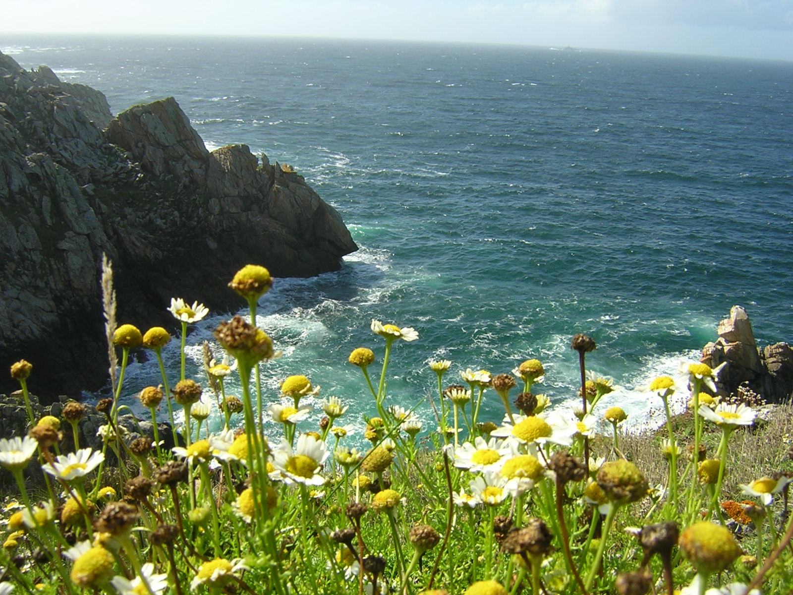 Wallpapers Nature Seas - Oceans - Beaches Vacanes en Bretagne