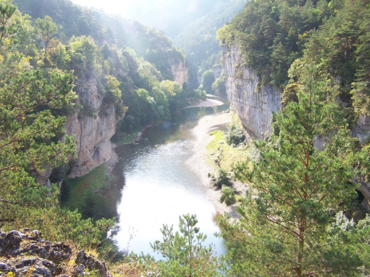 Fonds d'cran Nature Gorges les gorges du tarn